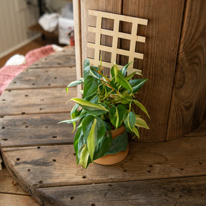 Plant Trellis - Grid by Still Magnolia, trellises detail photo 2