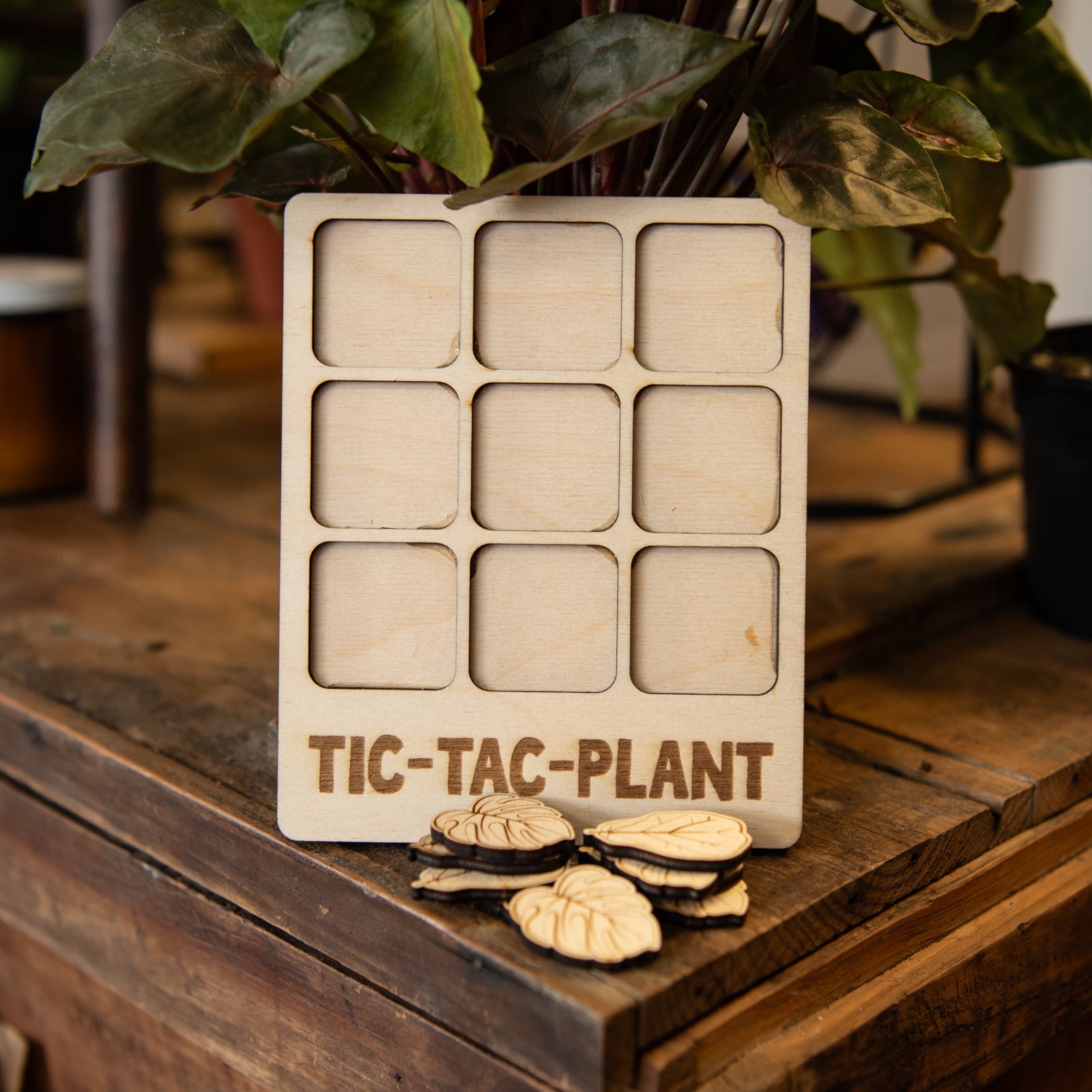 Tic-Tac-Plant by Still Magnolia, Southern home decor detail photo 2