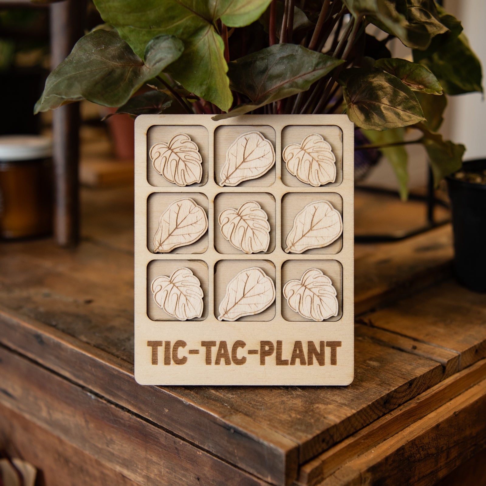 Tic-Tac-Plant by Still Magnolia, Southern home decor main product photo
