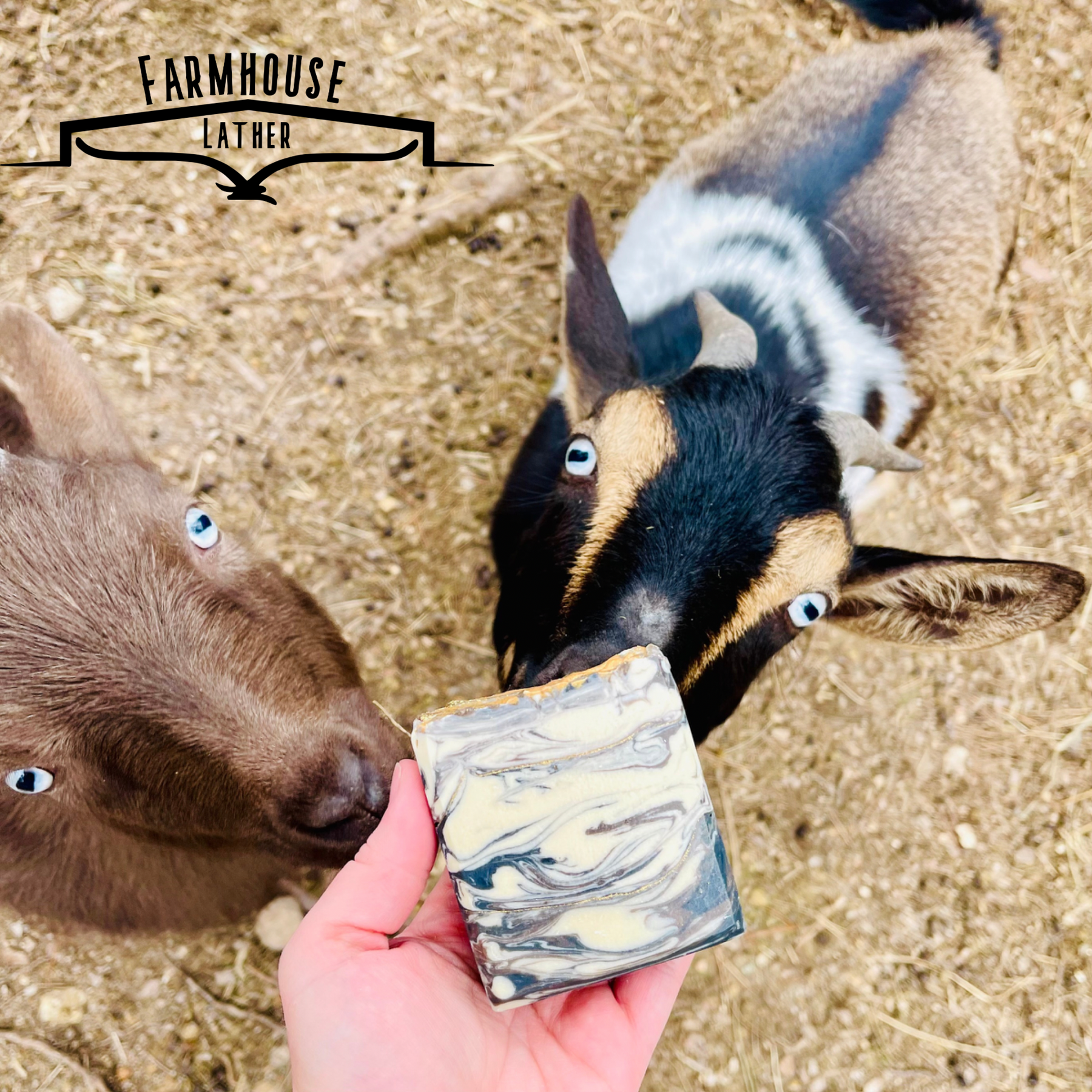 Farmhouse Lather Outlaw Reserve goat milk soap image 3