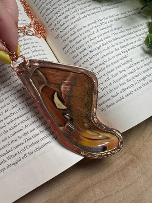 Atlas Moth Wing, Ammonite Fossil, and Labradorite Necklace detail view by Copper Ashes