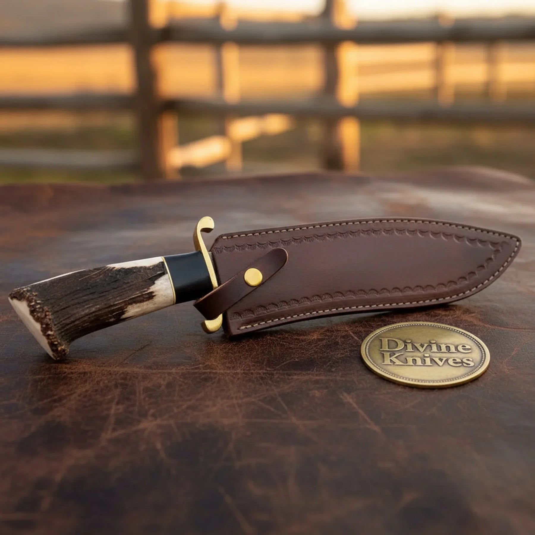 Damascus D-Guard Bowie Knife with Leather Sheath – Handcrafted Collectible Display Piece detail view by Divine Knives