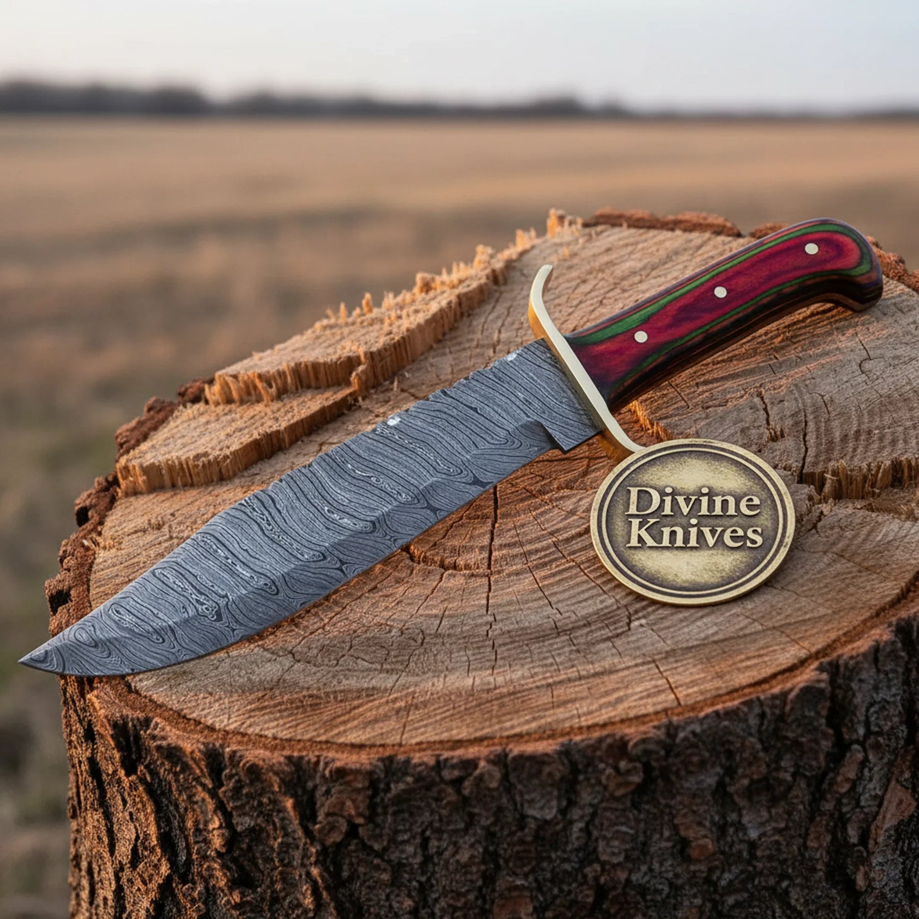 Stag Handle Bowie Knife with Sharpening Rod for Outdoor Use by Divine Knives