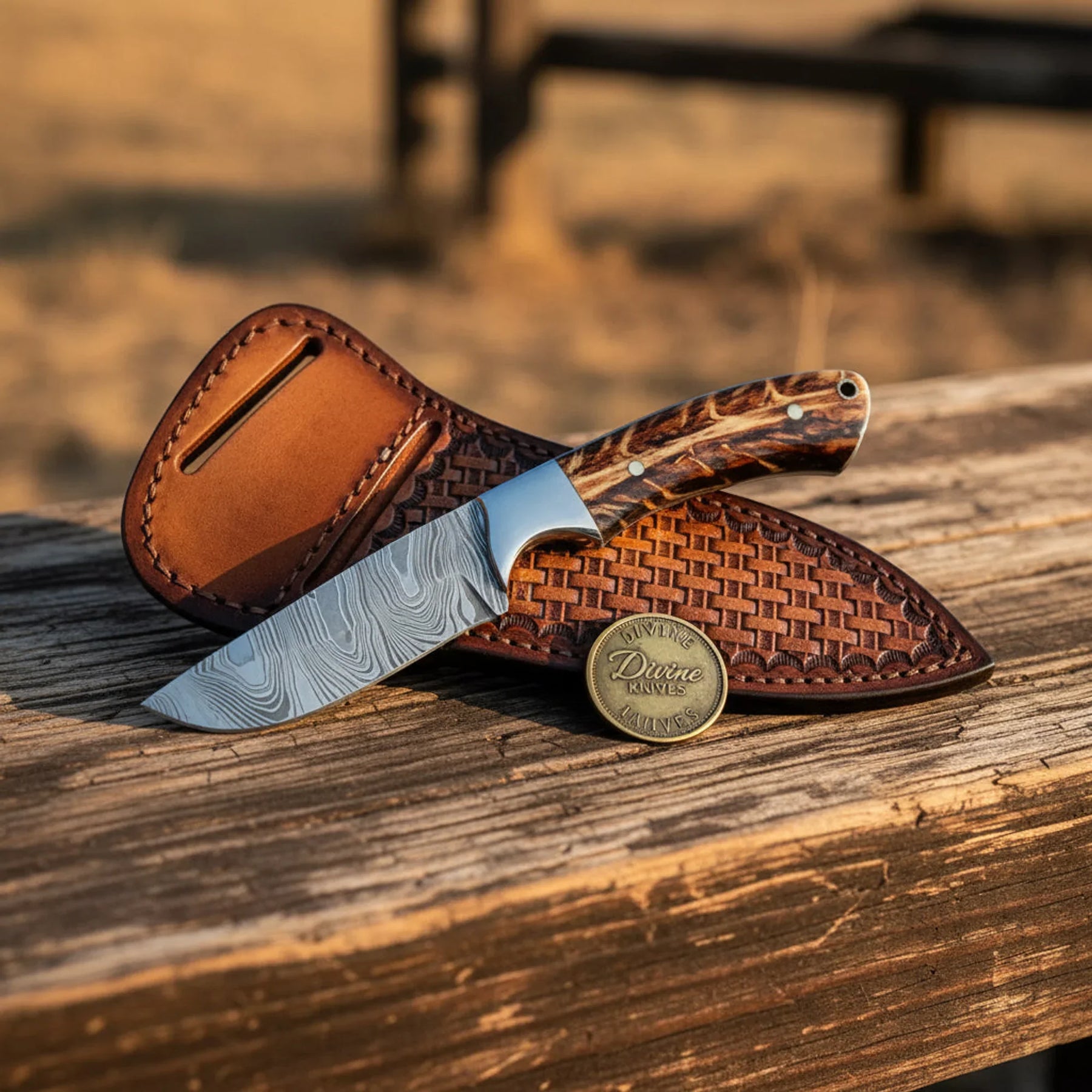 Stag Handle Bowie Knife with Brass Guard and Leather Sheath by Divine Knives