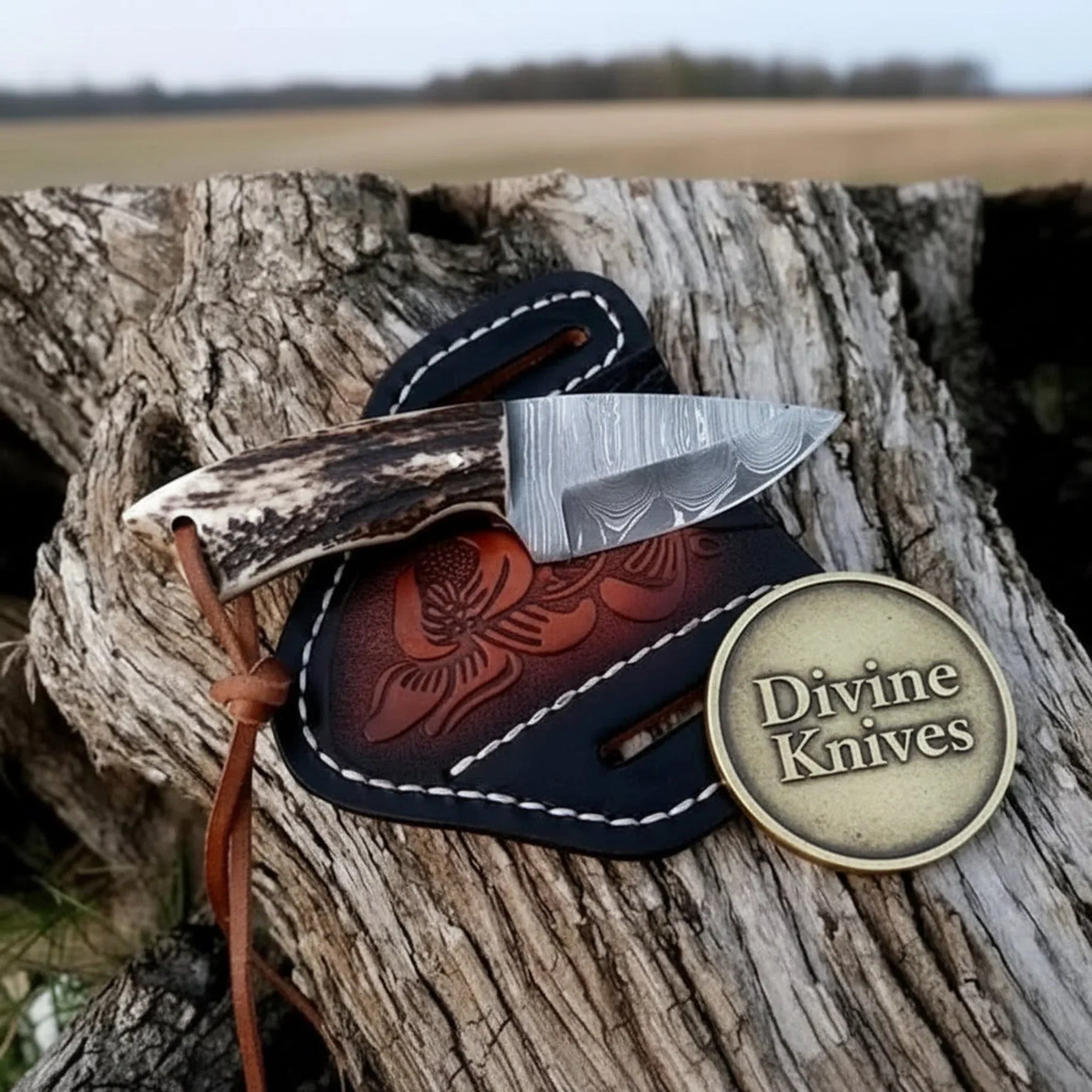 Compact Damascus Cowboy Knife with Stag Horn Handle – Everyday Carry Outdoor Tool (5.5-Inch) by Divine Knives