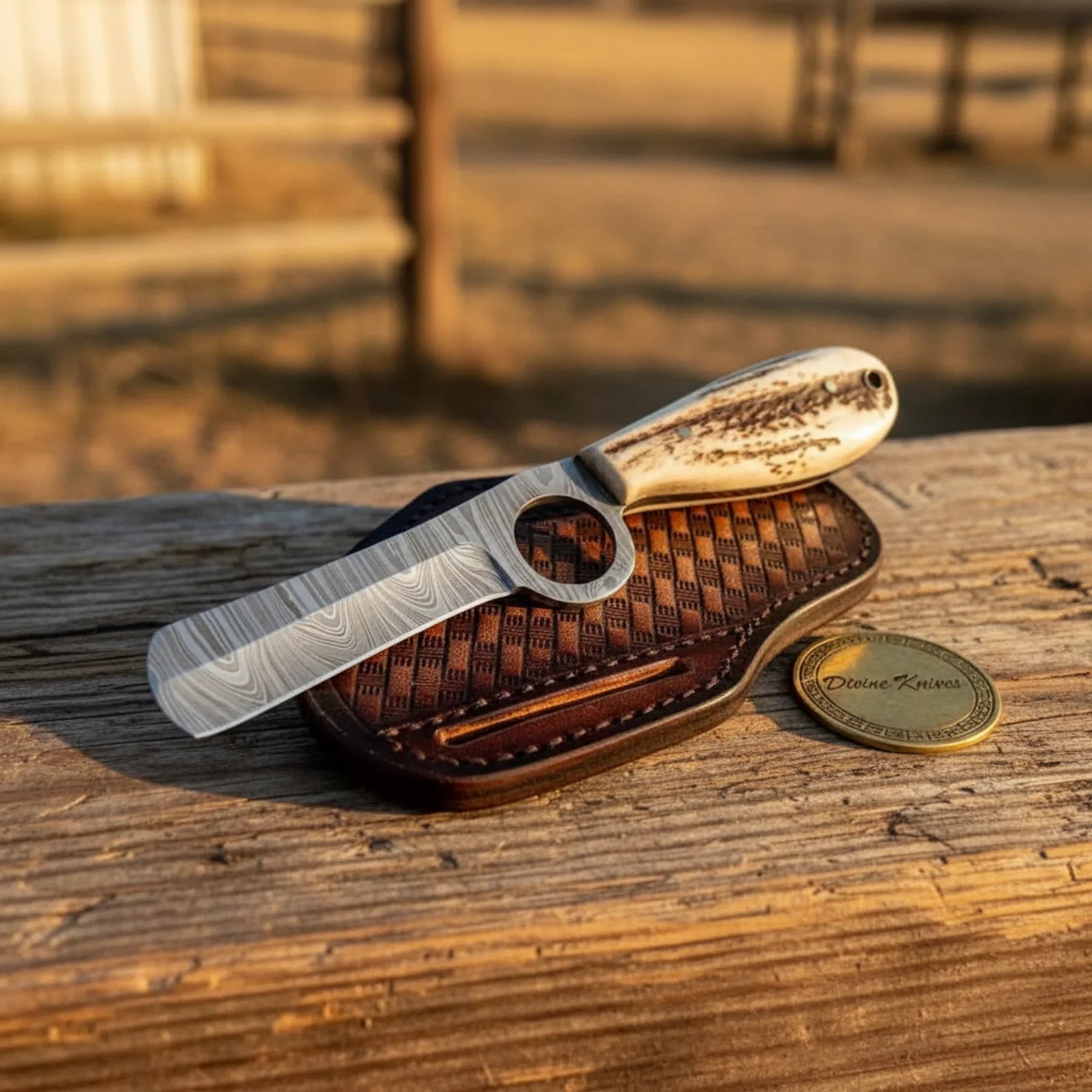 Damascus Cowboy Skinner with Choil Ring & Stag Horn Handle (9 Inch) by Divine Knives