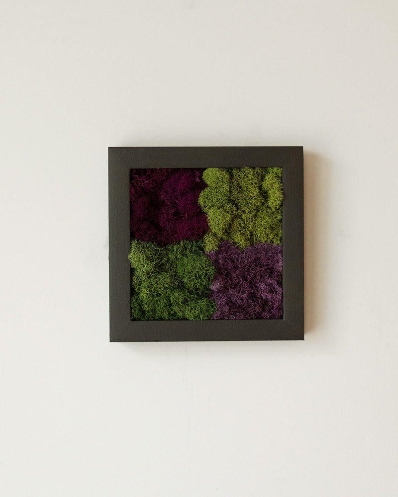 Purple Squares, Square by Solid Moss Co.