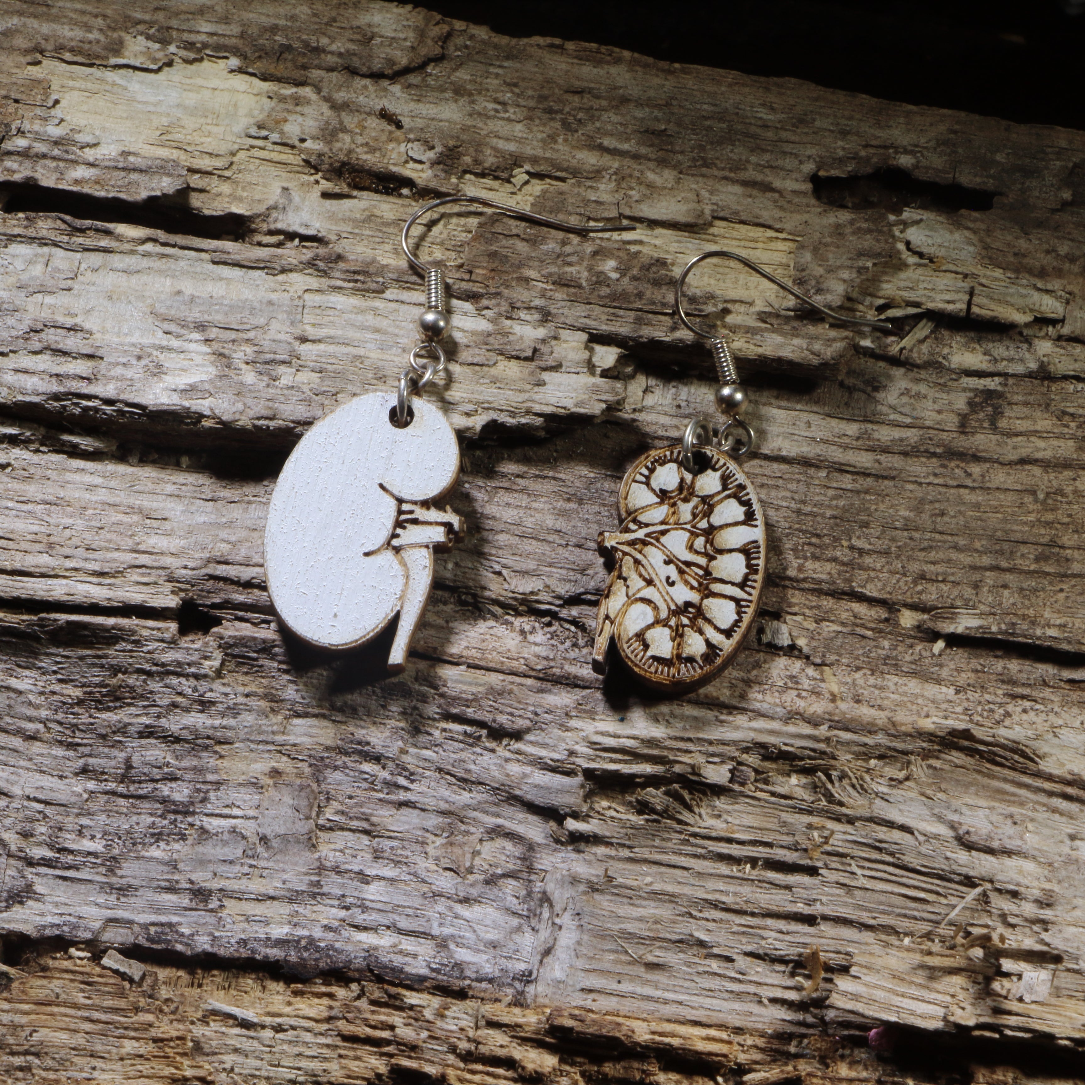 Kidney Wooden Dangle Earrings | Nephrology Medical Jewelry by Cate's Concepts, LLC