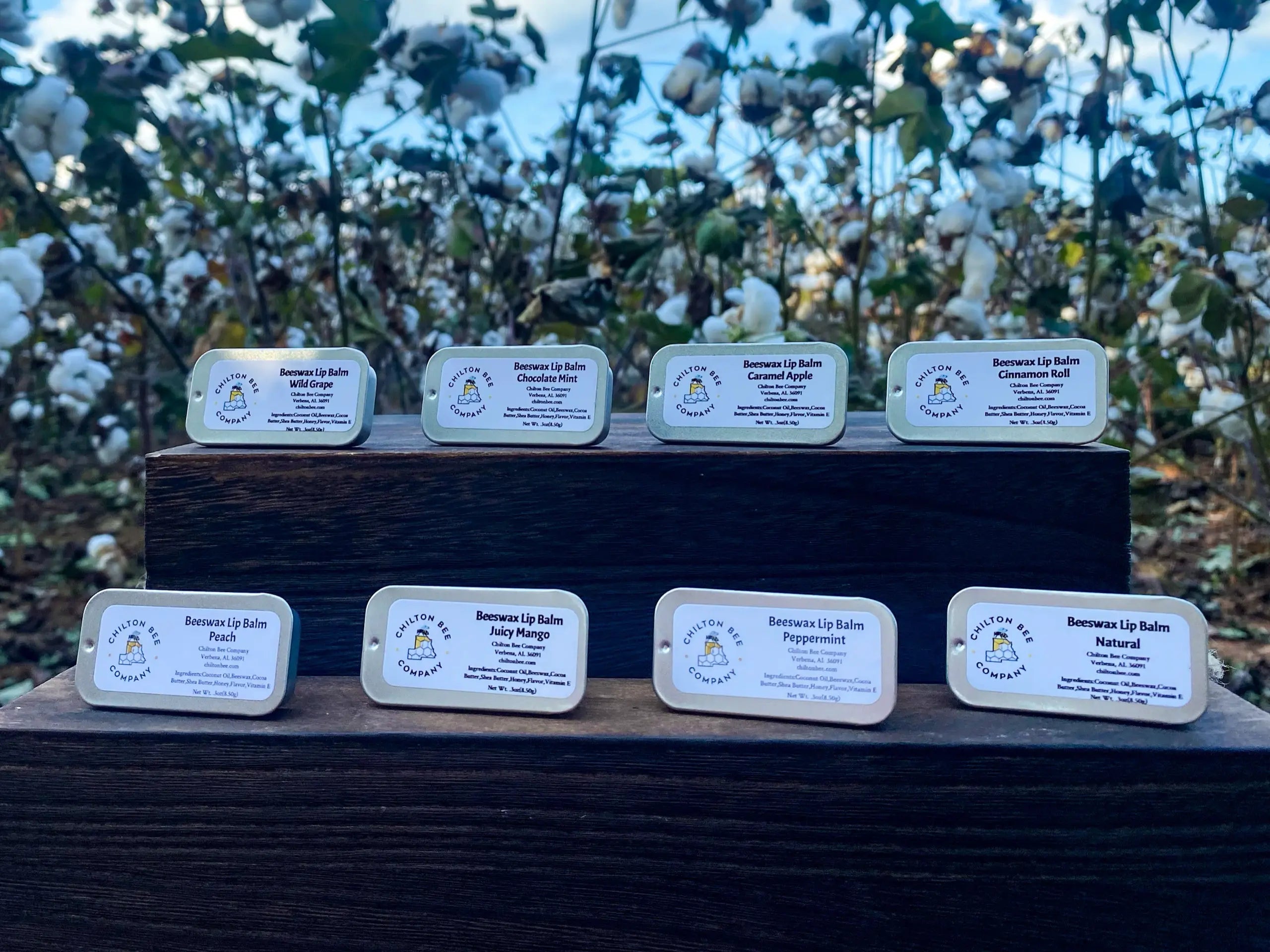 Lip Balm Tins by Chilton Bee Company, natural skincare main product photo
