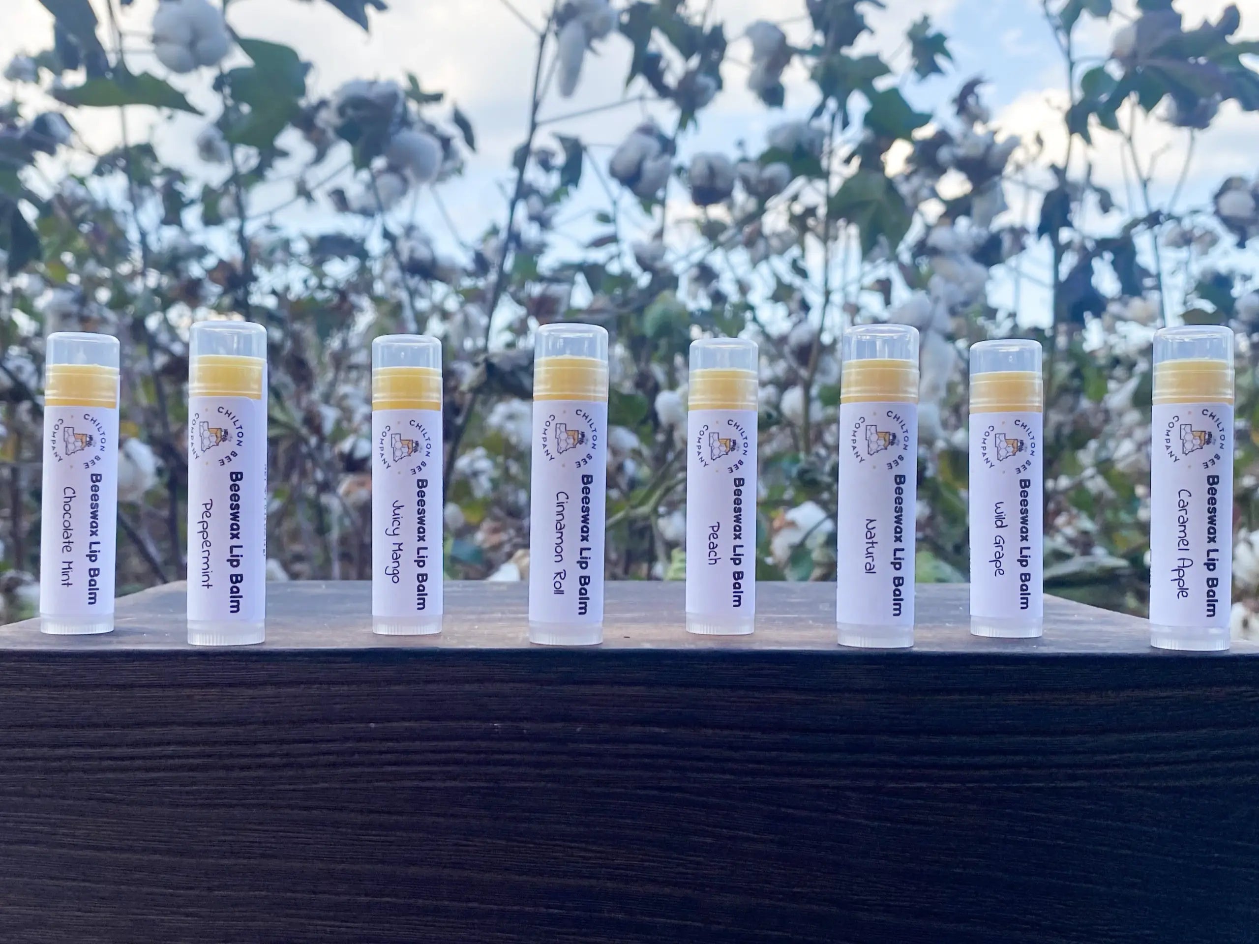 Lip Balm Tubes by Chilton Bee Company, natural skincare main product photo