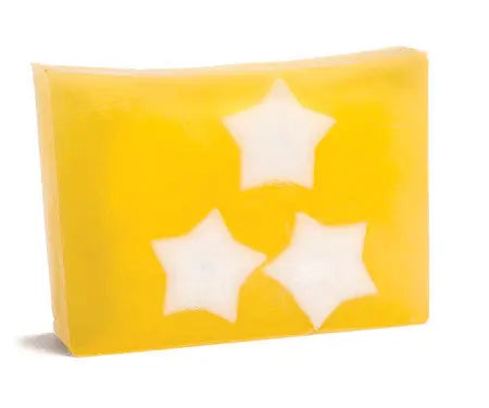 Northern Lights Soap Slice 5.5 Oz. by Essential Journeys, natural skincare main product photo
