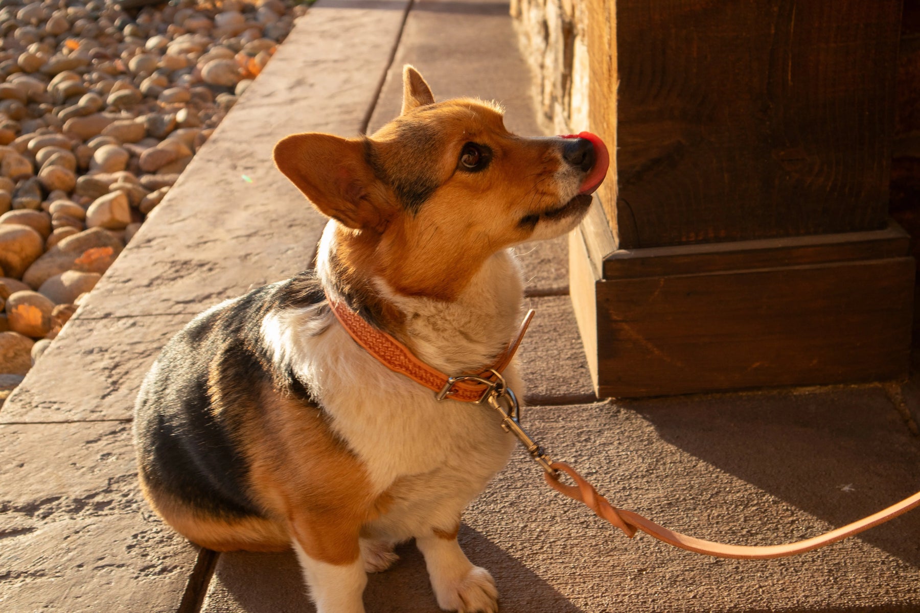 Natural Basket Dog Leash by Texas Saddlery, handmade leather goods detail photo 4