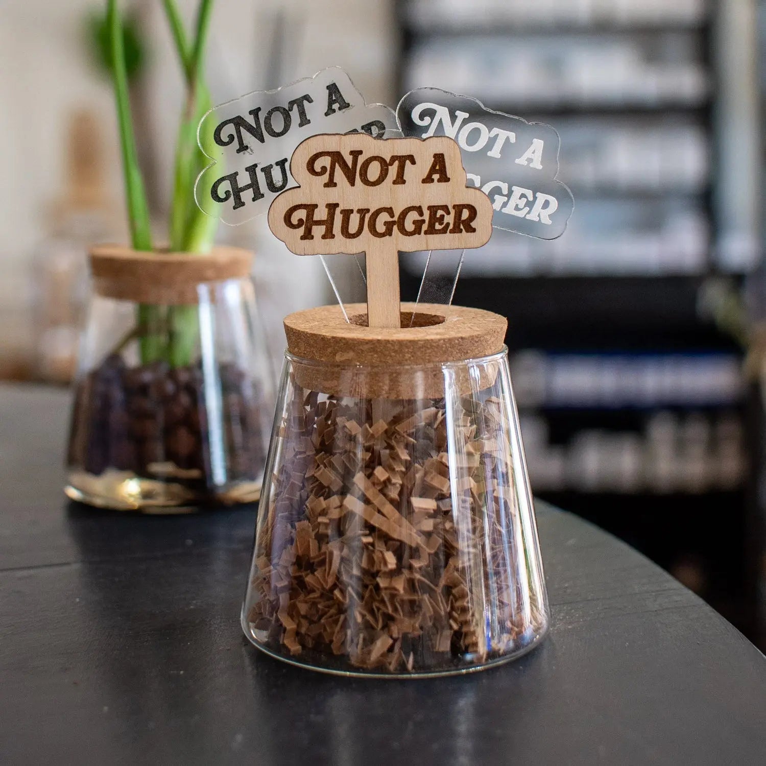 Not A Hugger - Plant Stakes by Still Magnolia, Southern home decor main product photo