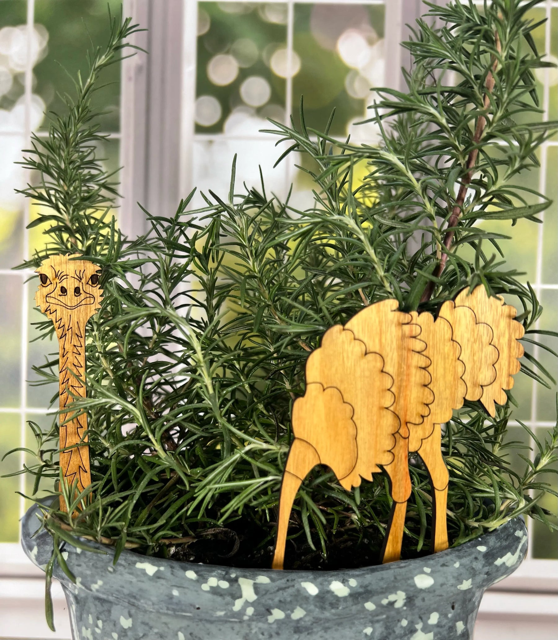 Ostrich Plant Buddy - Plant Pick (2pcs) by Artspeak Studio, Southern home decor main product photo