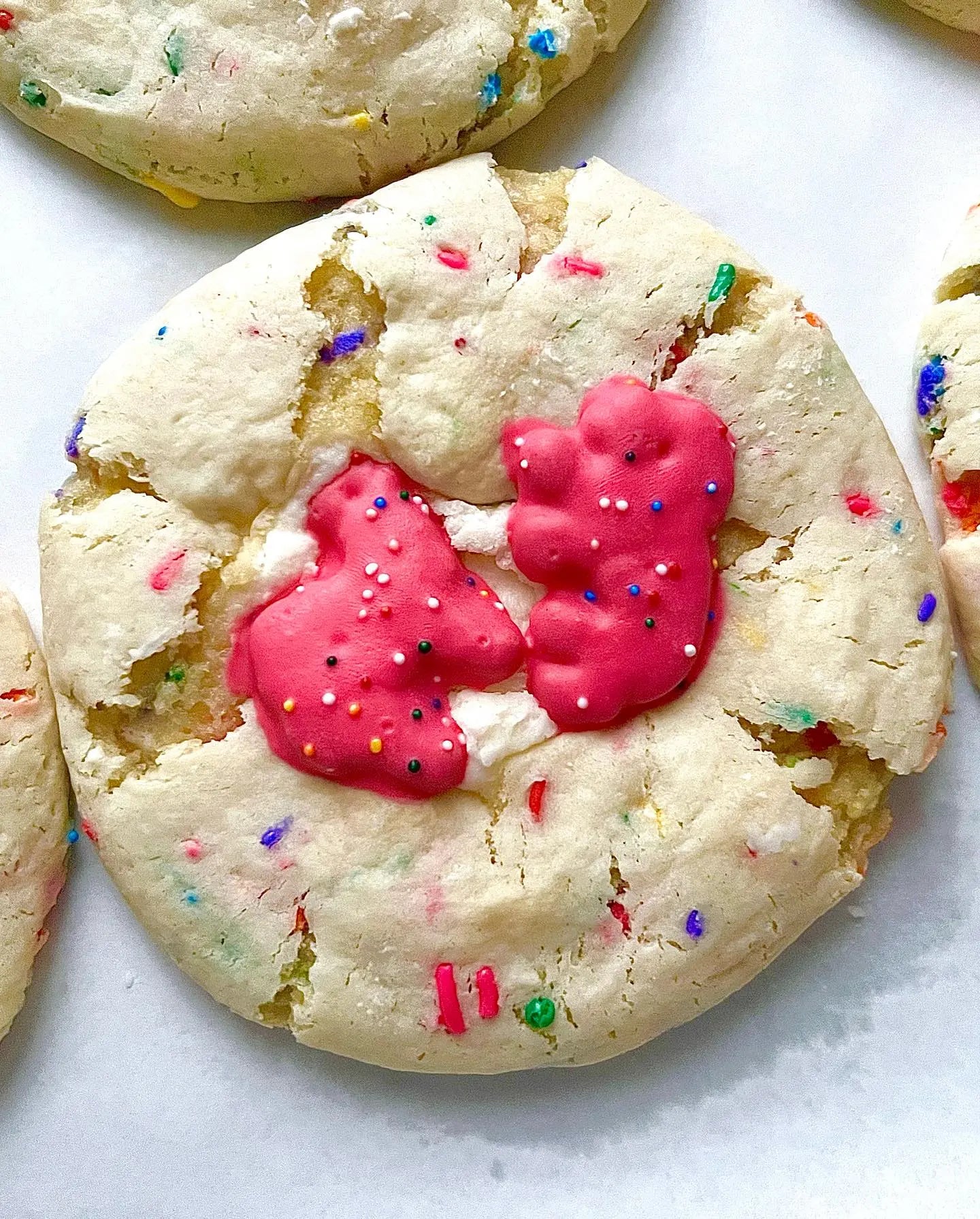 Party Animal by Let's Get Baked Artisan Desserts, cookies main product photo