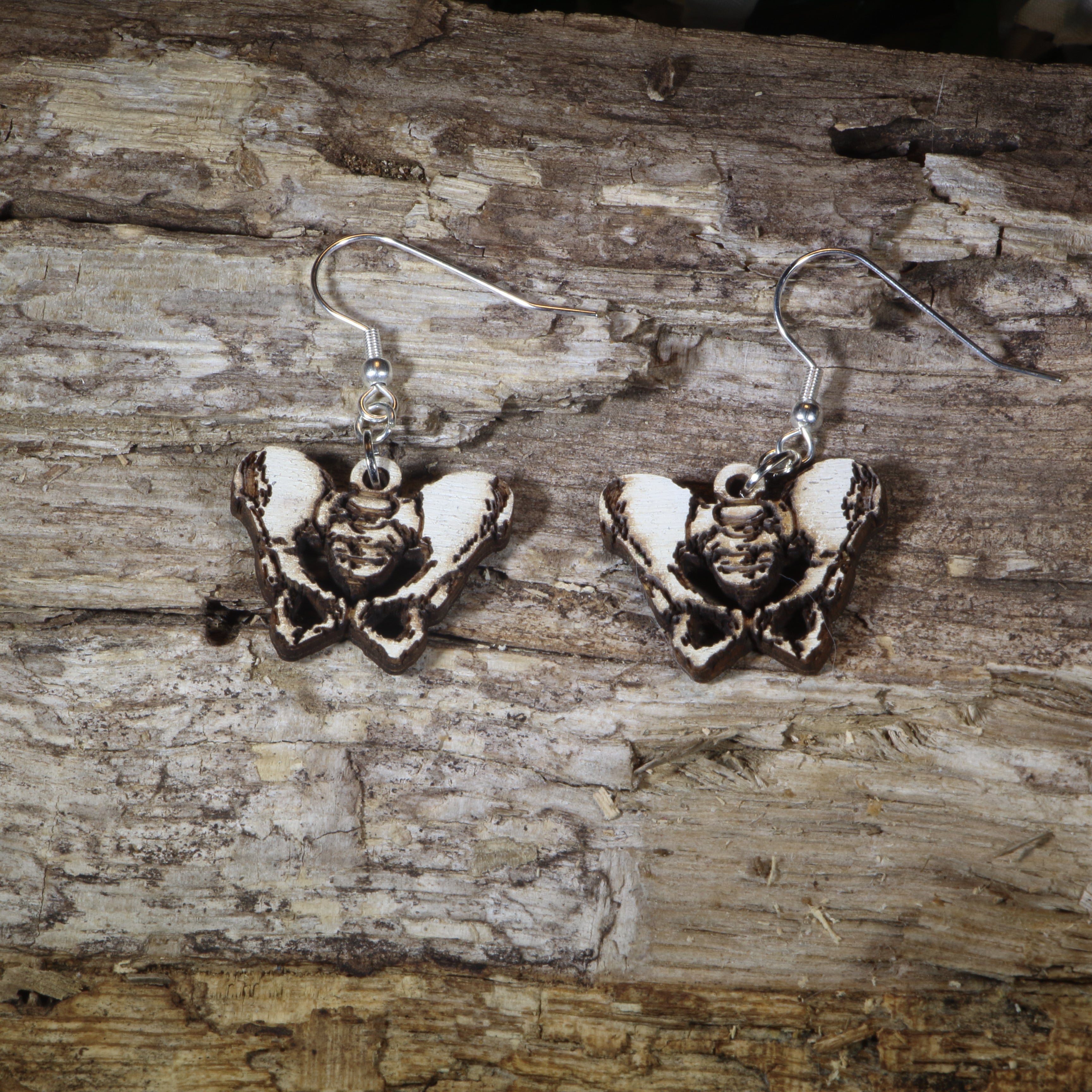 Pelvis Anatomy Wooden Dangle Earrings | Medical Healthcare Jewelry by Cate's Concepts, LLC