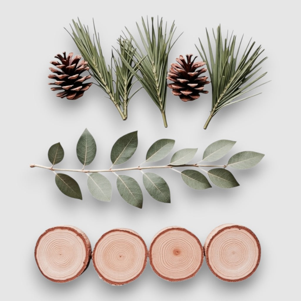 Lake Tahoe Reed Diffuser by RXLA, product photo 5 of 6