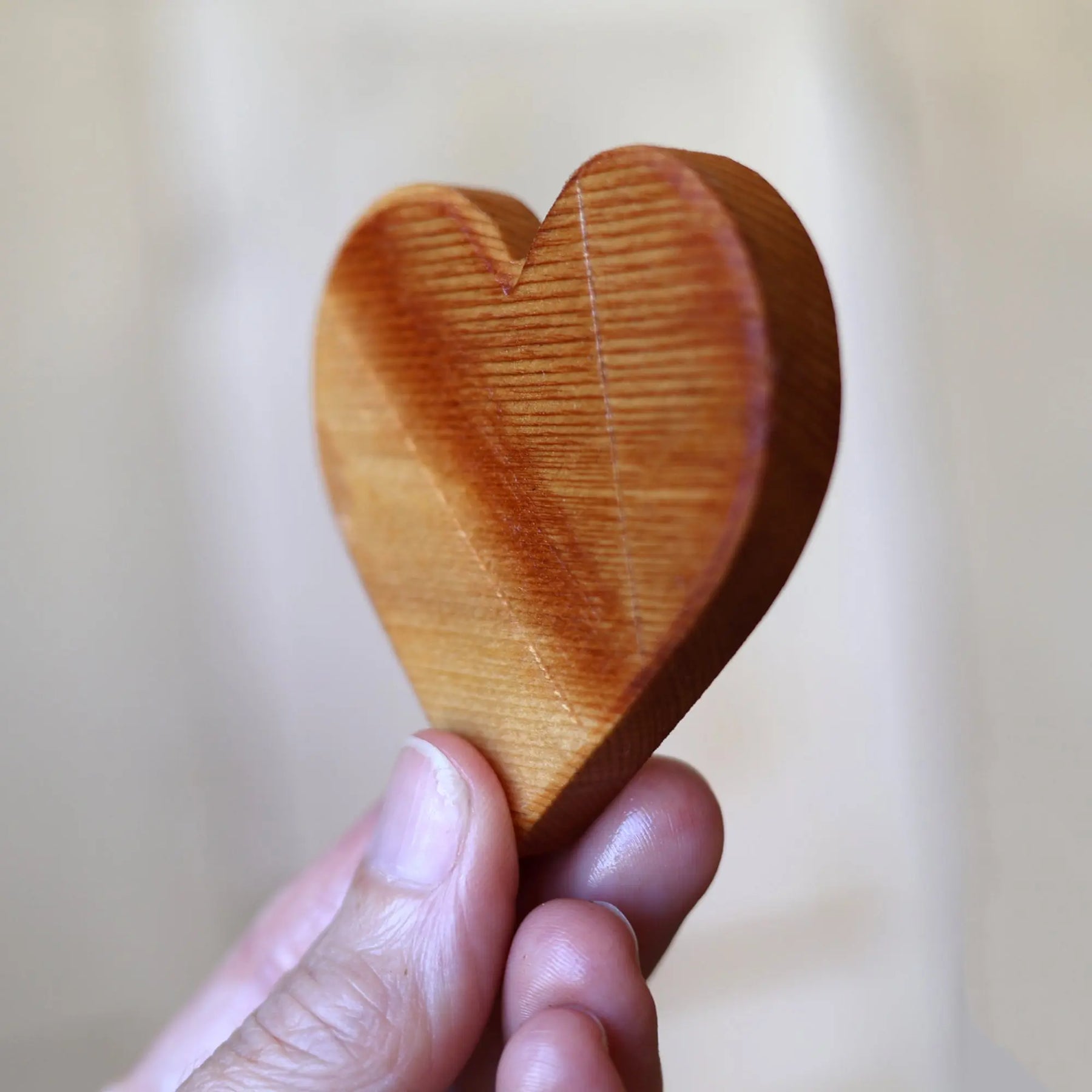 Piano Hearts by Dennehey Design Co., Southern home decor detail photo 12