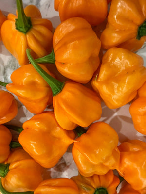 Pineapple Scotch Bonnett Chili Jam by Powerful Pepper Company, Southern food gift detail photo 4