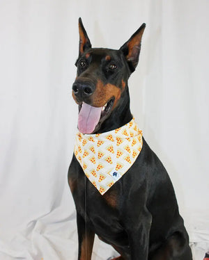 Pizza & Food Dog Bandana by Dog Bandana Co., pet accessory detail photo 3