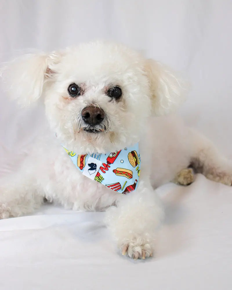 Pizza & Food Dog Bandana by Dog Bandana Co., pet accessory detail photo 5
