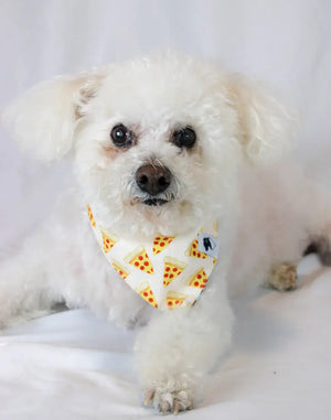 Pizza & Food Dog Bandana by Dog Bandana Co., pet accessory detail photo 6
