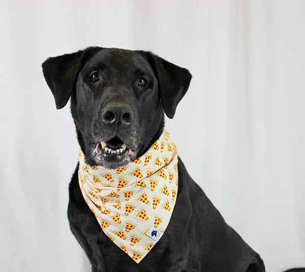Pizza & Food Dog Bandana by Dog Bandana Co., pet accessory detail photo 7