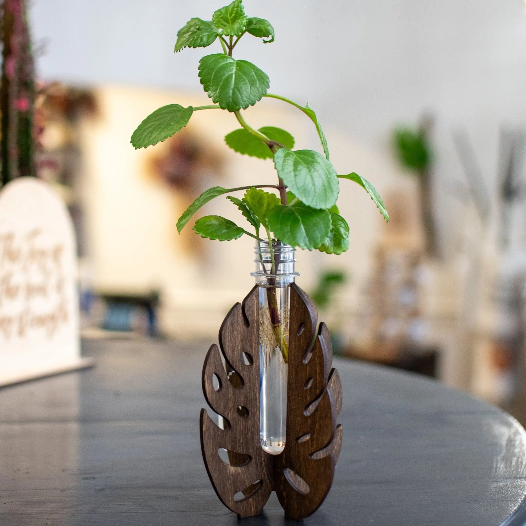 Propagation Station - Stand by Still Magnolia, plant supports detail photo 3