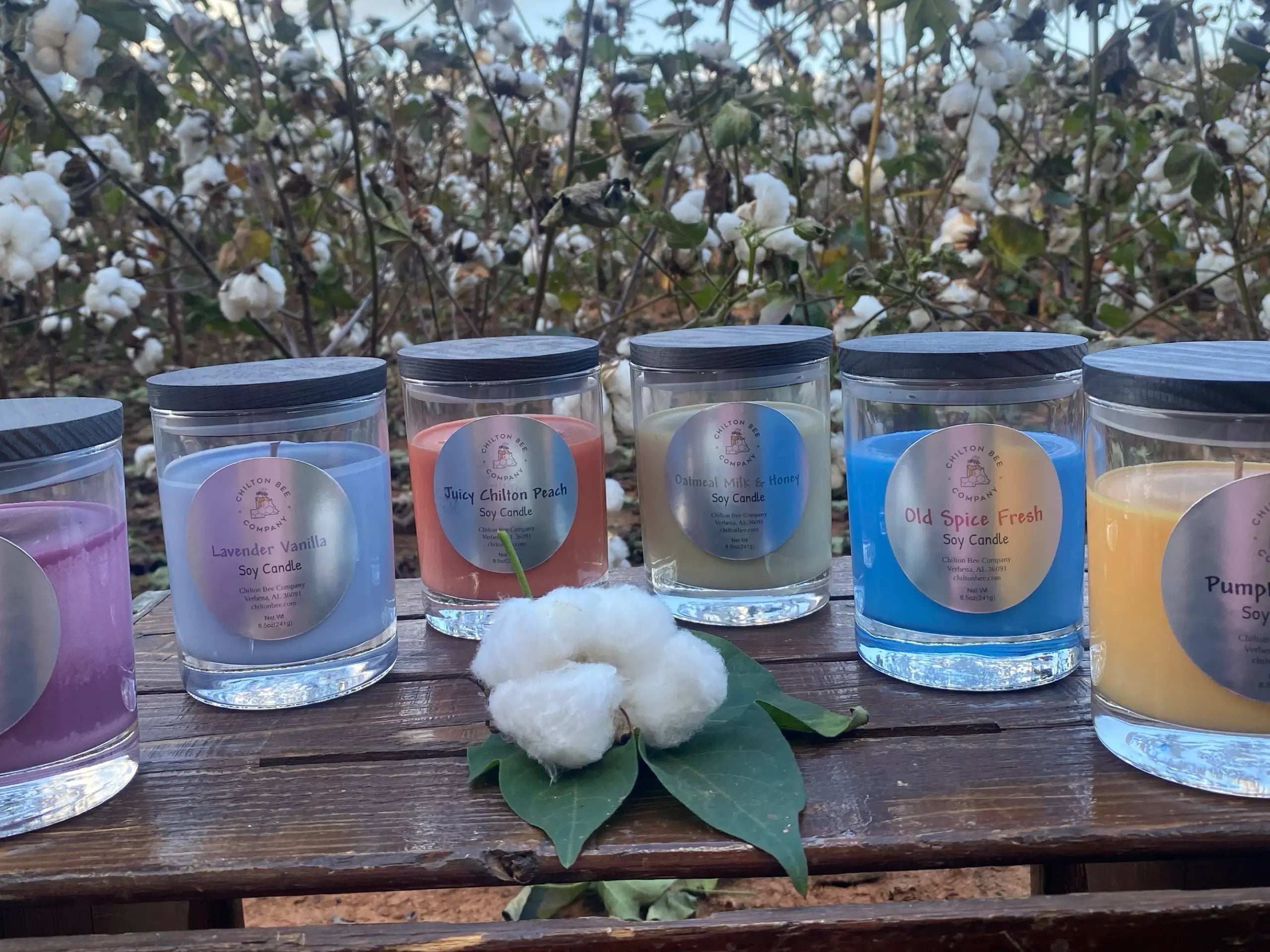 Single Wick Soy Candle by Chilton Bee Company, scented candle main product photo