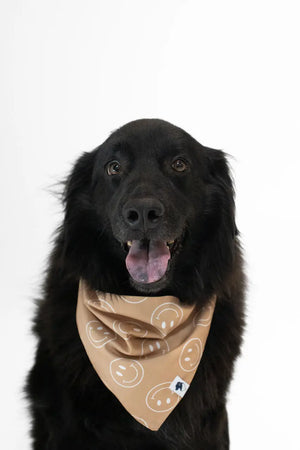 Smiles Dog Bandana by Dog Bandana Co., pet accessory detail photo 3