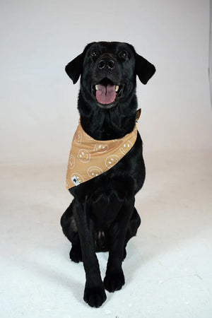 Smiles Dog Bandana by Dog Bandana Co., pet accessory detail photo 4