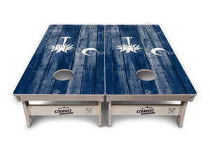 South Carolina Cornhole Boards - Professional Tournament Series by Cornhole Solutions, custom cornhole board detail photo 2