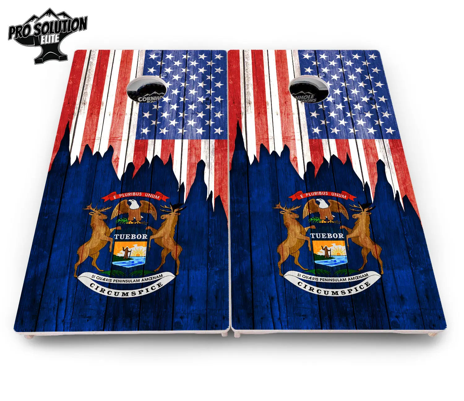 State Flag Designs Massachusetts to New Jersey Cornhole Boards - Pro Solution Elite Series by Cornhole Solutions, Southern home decor detail photo 8