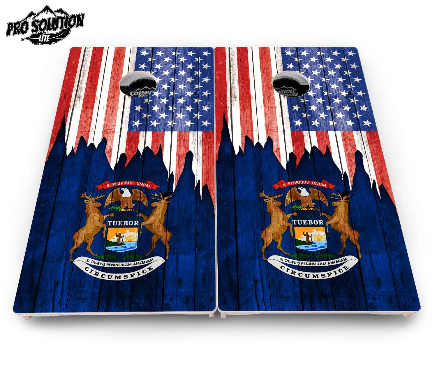 State Flag Designs Massachusetts to New Jersey Cornhole Boards - Pro Solution Lite Series by Cornhole Solutions, Southern home decor detail photo 7