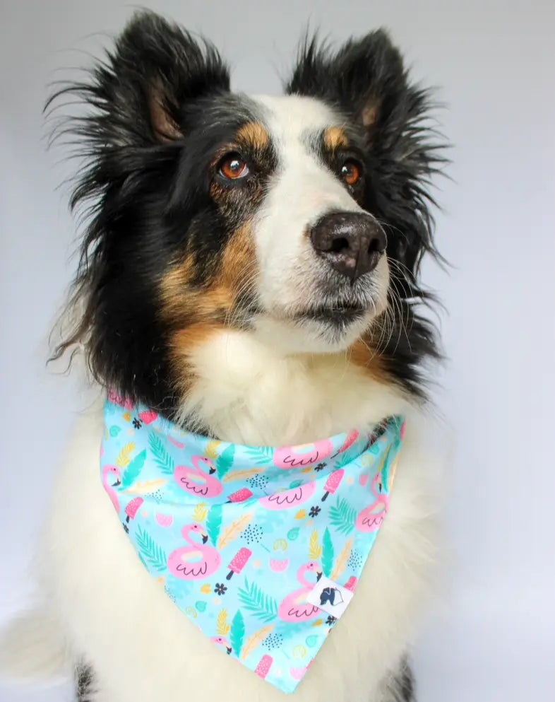 Summer Beach Dog Bandana by Dog Bandana Co., pet accessory detail photo 3