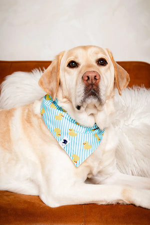 Sunny Side Dog Bandana by Dog Bandana Co., pet accessory detail photo 4
