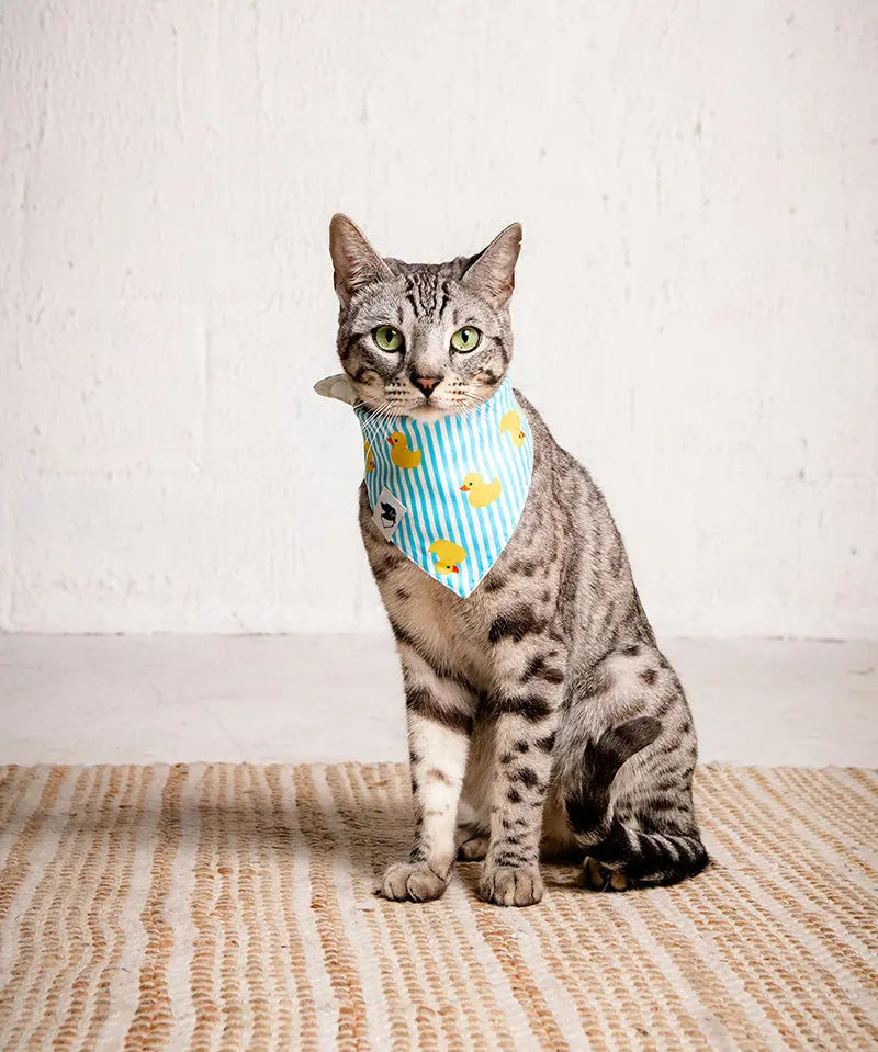 Sunny Side Dog Bandana by Dog Bandana Co., pet accessory detail photo 7