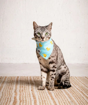 Sunny Side Dog Bandana by Dog Bandana Co., pet accessory detail photo 7