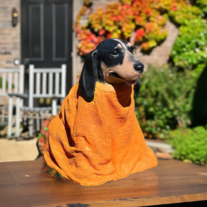 Tennessee Volunteers Smokey Garden Statue alternate view 3