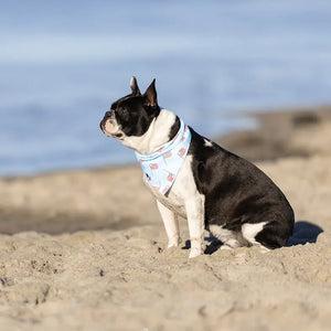 USA Dog Bandana by Dog Bandana Co., pet accessory detail photo 3