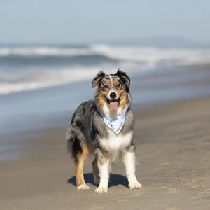 USA Dog Bandana by Dog Bandana Co., pet accessory detail photo 5