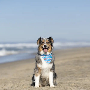 USA Dog Bandana by Dog Bandana Co., pet accessory detail photo 6