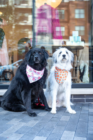 Watermelon & Strawberry Dog Bandana by Dog Bandana Co., pet accessory detail photo 4
