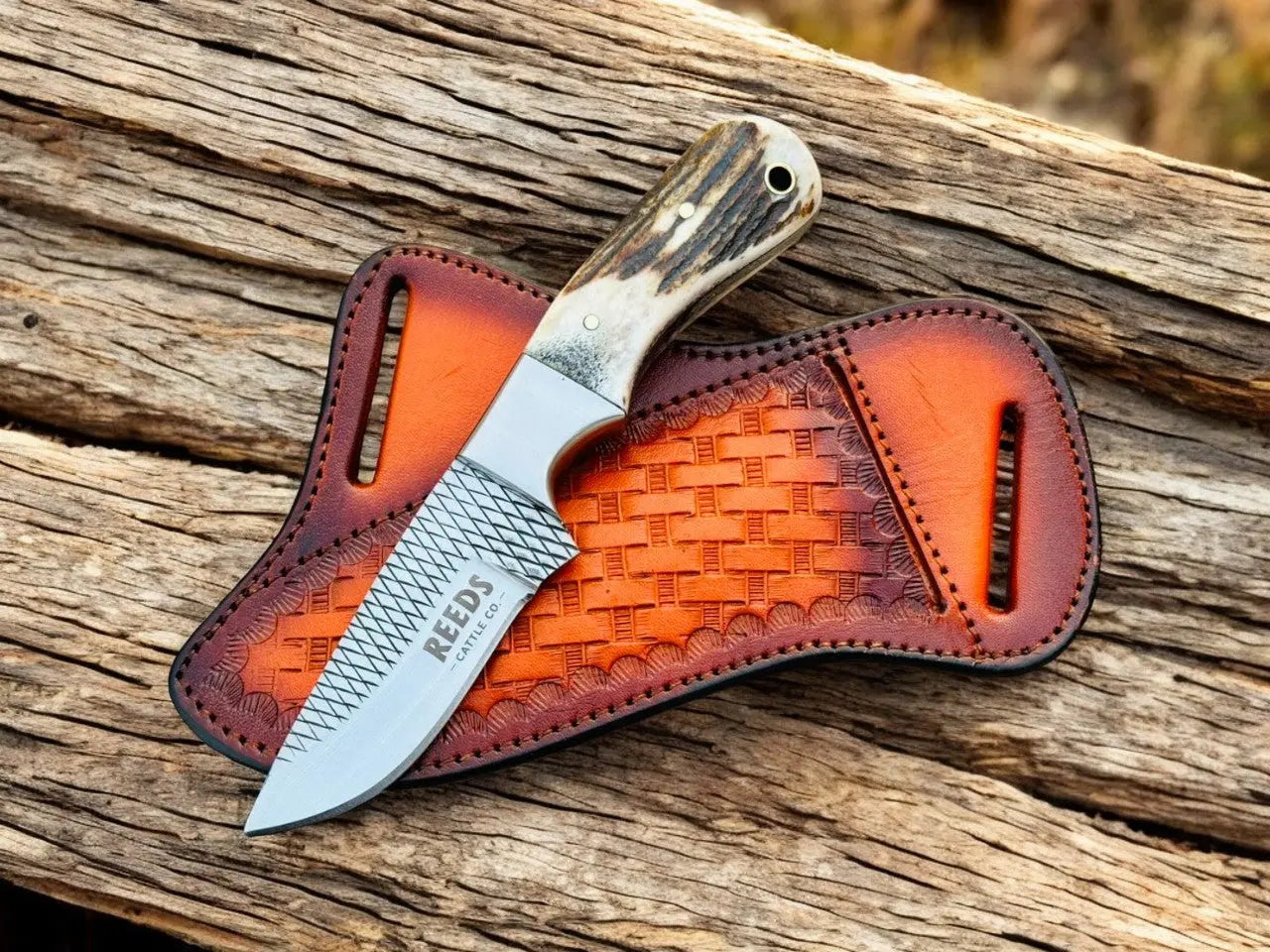 Western Knife with 3.4" Rasp Steel Blade & Antler Horn Handle by Damascus Knife Store, Damascus knife main product photo