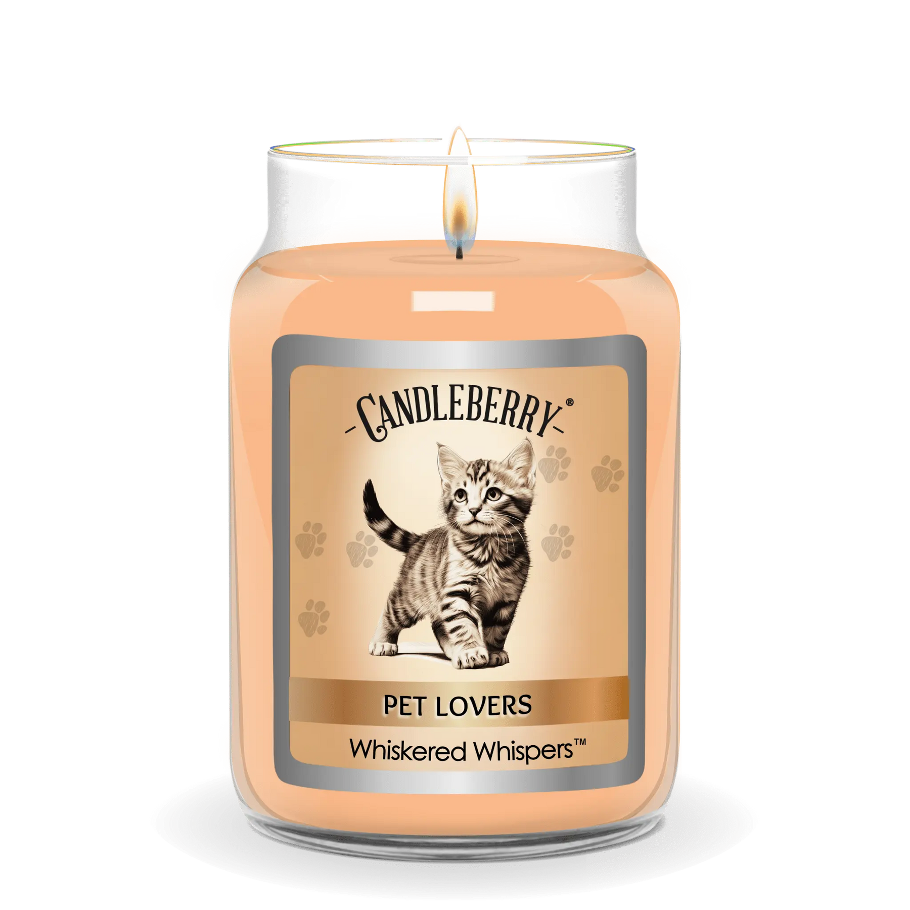 Whiskered Whispers™ - Large Jar Candle (Collective) by The Candleberry® Candle Company, scented candle detail photo 2