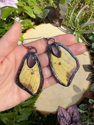 Amethyst and Imperial Moth Wing Earrings by Copper Ashes