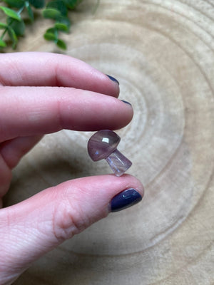 Amethyst Mushroom detail view by Copper Ashes