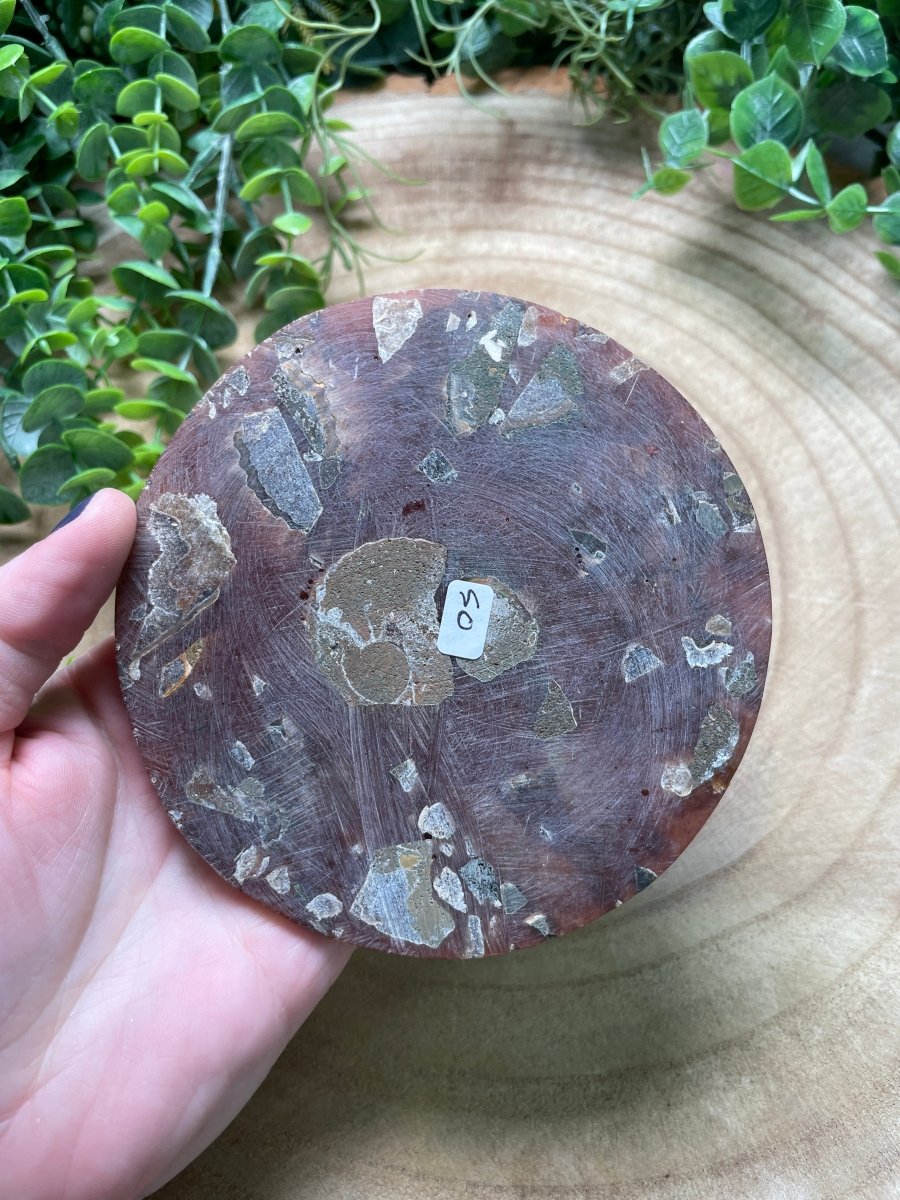 Ammonite Fossil and Resin Plate detail view by Copper Ashes