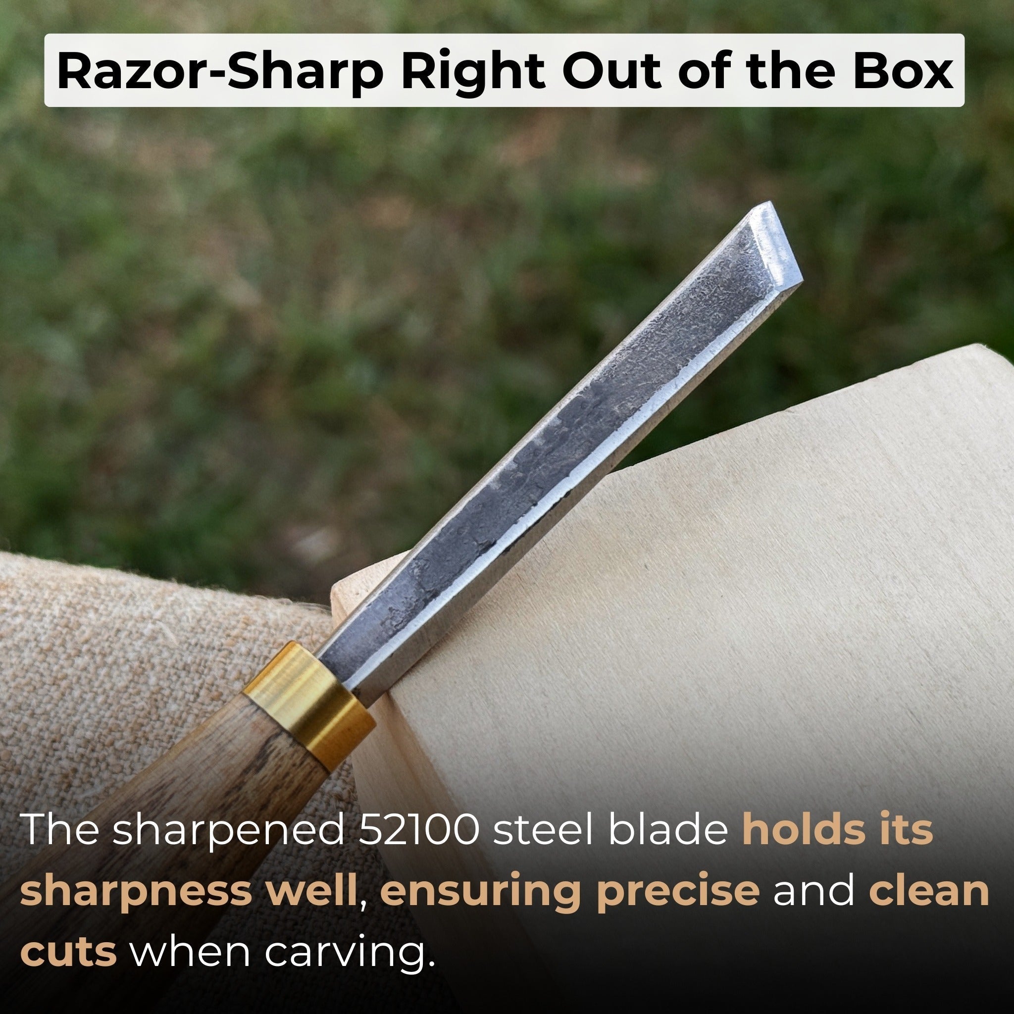 Angled Bevel Carving Chisel – 10 mm (0.39 inches) detail view by Sharky Forged Steel Tools