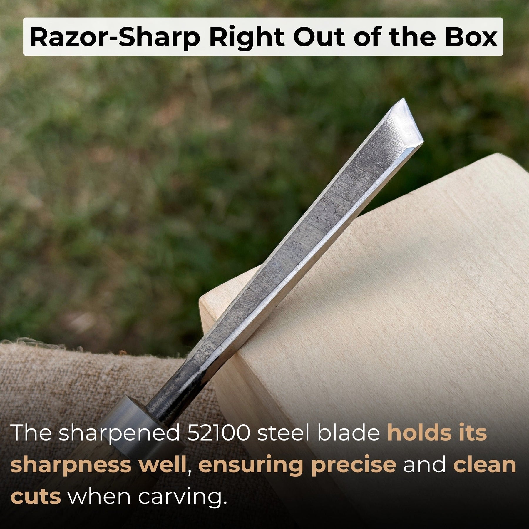 Angled Bevel Carving Chisel with Palm Handle – 10 mm (0.39 inches) detail view by Sharky Forged Steel Tools